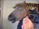 deejay-horse-horse.gif