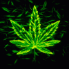 marijuana-leaf-pot-leaf.gif