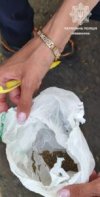 каннабис конопля кременчуг.jpg каннабис конопля кременчуг.jpg