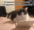 1746262467262.jpeg
