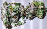 IMG_20250509_053538~3.jpg