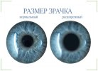 размер зрачков от амфа мефа шиш.jpg размер зрачков от амфа мефа шиш.jpg