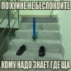 IMG_4284.jpeg
