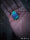 IMG_20250515_152245_004.jpg