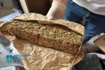 шишки кривой рог.jpg