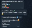 Screenshot_20250518_113801_Telegram.jpg