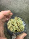 IMG_8722.jpeg