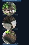 1747980167287.png 1747980167287.png