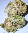 IMG_20250527_125209~2.jpg