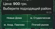 IMG_7877.jpeg