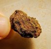 IMG_20250308_074647~5.jpg