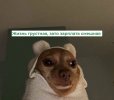 1751474534205.jpeg