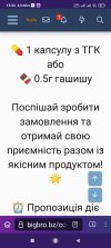 Screenshot_2025-07-04-12-24-39-932_org.torproject.torbrowser.jpg