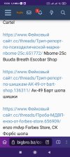Screenshot_2025-07-04-12-24-23-046_org.torproject.torbrowser.jpg