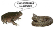 1751815721690.png