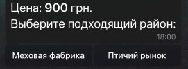 IMG_9178.jpeg