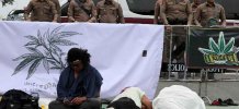 Таиланд возвращает каннабис в список наркотиков.jpg Таиланд возвращает каннабис в список наркотиков.jpg