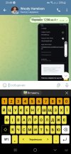 Screenshot_20250709-234814_Telegram.jpg