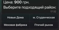 IMG_9376.jpeg