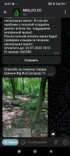 Screenshot_2025-07-24-16-47-42-311_org.telegram.messenger.jpg