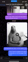 IMG_2837.png