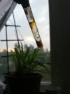 20250717_171943.jpg