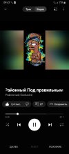 Screenshot_20250911_094215_YouTube Music.jpg