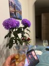 IMG_2919.jpeg