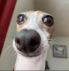 1758476557324.png