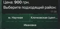 IMG_1549.jpeg