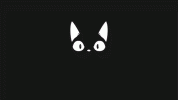 total black cat.gif