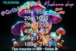 magic-mushrooms-in-the-forest-at-night-3d-render-illustration-ai-generated-free-photoyuy1dd.JPG
