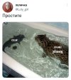 1759563718031.jpeg