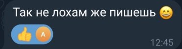 00.jpg
