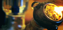 BONe.gif BONe.gif