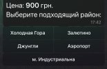 IMG_2274.jpeg