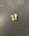 IMG_1694.jpeg IMG_1694.jpeg