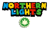 Northern-Lights-02-02-2026.gif