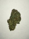 IMG_5602.jpeg