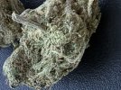 IMG_7196 (1).jpeg