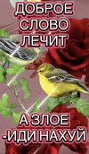 IMG_0549.jpeg