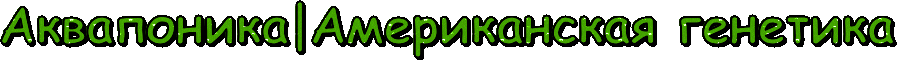 text (13).gif