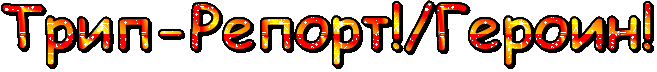 text (5).gif