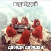 IMG_1149.jpeg