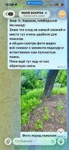 IMG_7925.jpeg