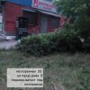 ggkhsfo8tmbaqj4.jpe