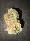 IMG_0672.jpeg