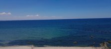 IMG_20260904_171253_264.jpg