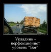 demotivatorium_ru_ukladchik__perfekcionist_uroven_bog_95645 (1).jpg