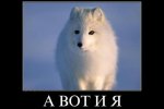 images (20).jpeg